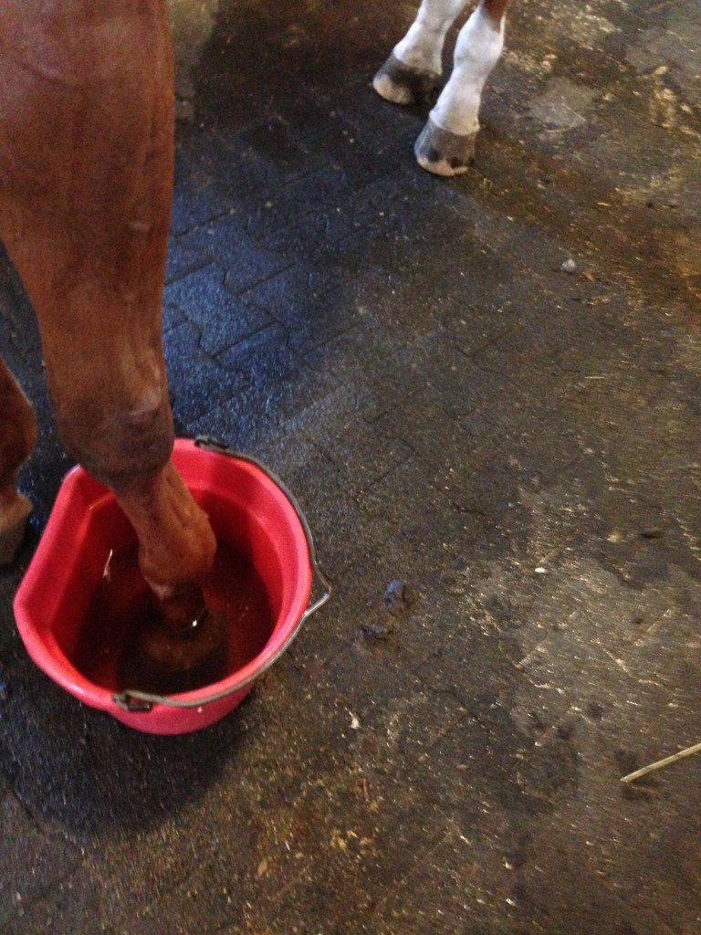 Foot in a bucket