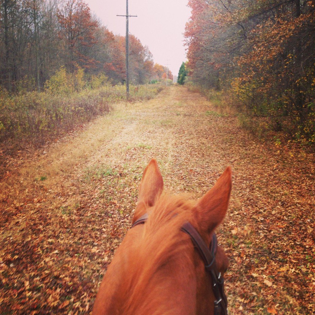 Trail ride :)