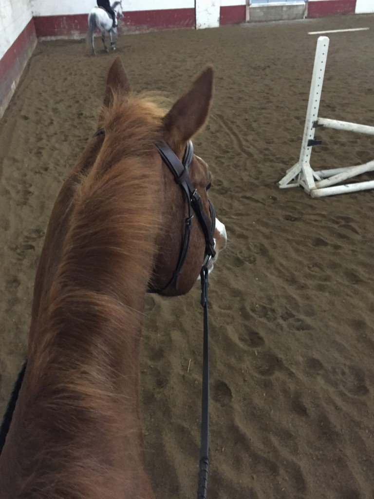 Proud of himself after our lesson yesterday