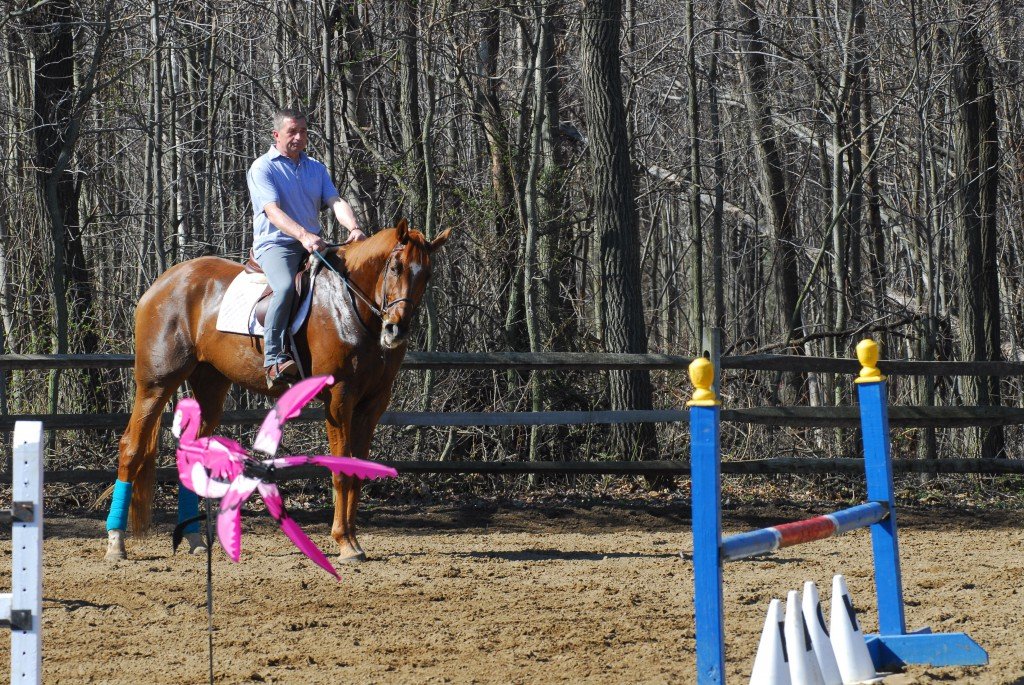 Stampede upset and being ridden in a clinic while I was out of commission