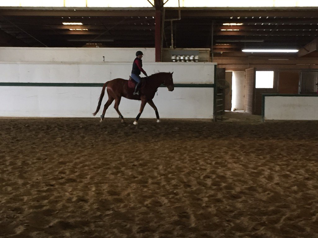 Karley & Henry sitting trot