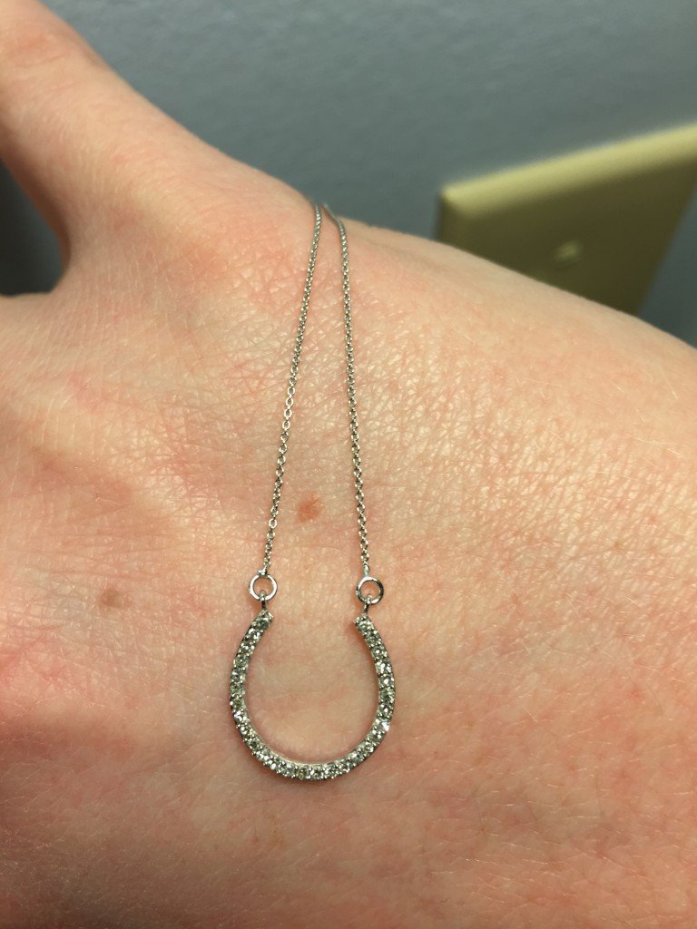 My husband got me this gorgeous horseshoe necklace.