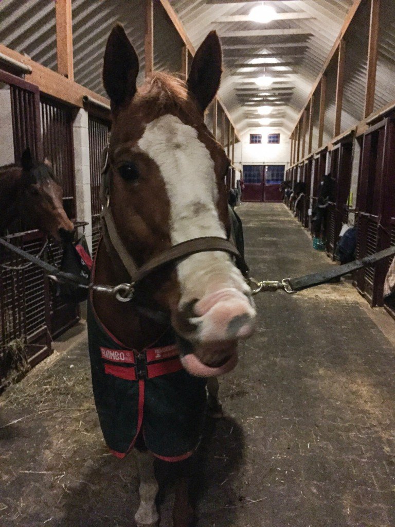 Mr. P was super excited about the extra cookies!