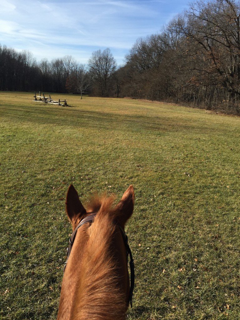 Headed into the field