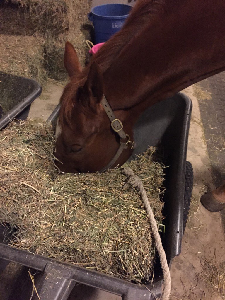 Clearly the best hay is at the bottom