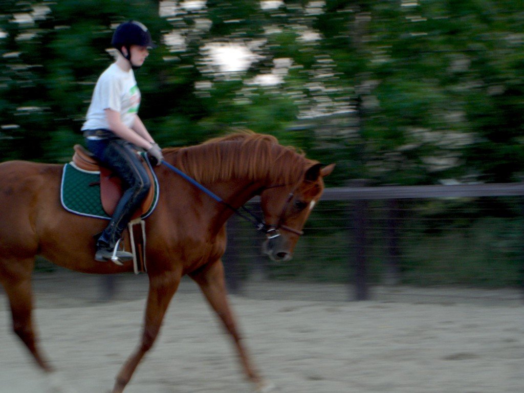 One of the first few times I rode Stampede outdoors, he was a bit crazy!