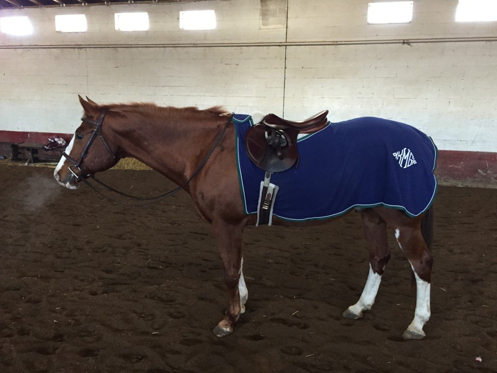 P was fancy in his Smartpak quarter sheet