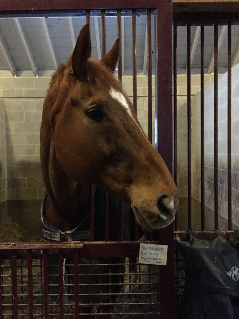 Watching his brother leave for turnout one morning this week