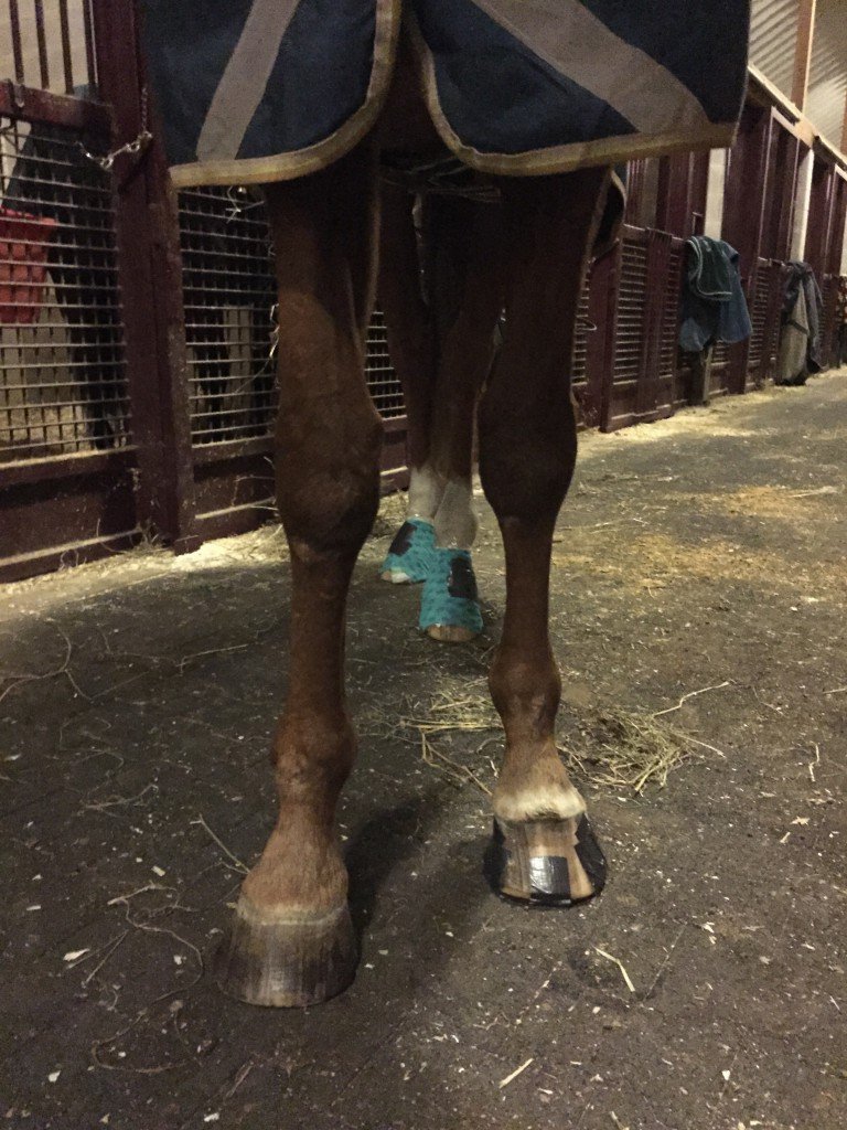 One good leg?