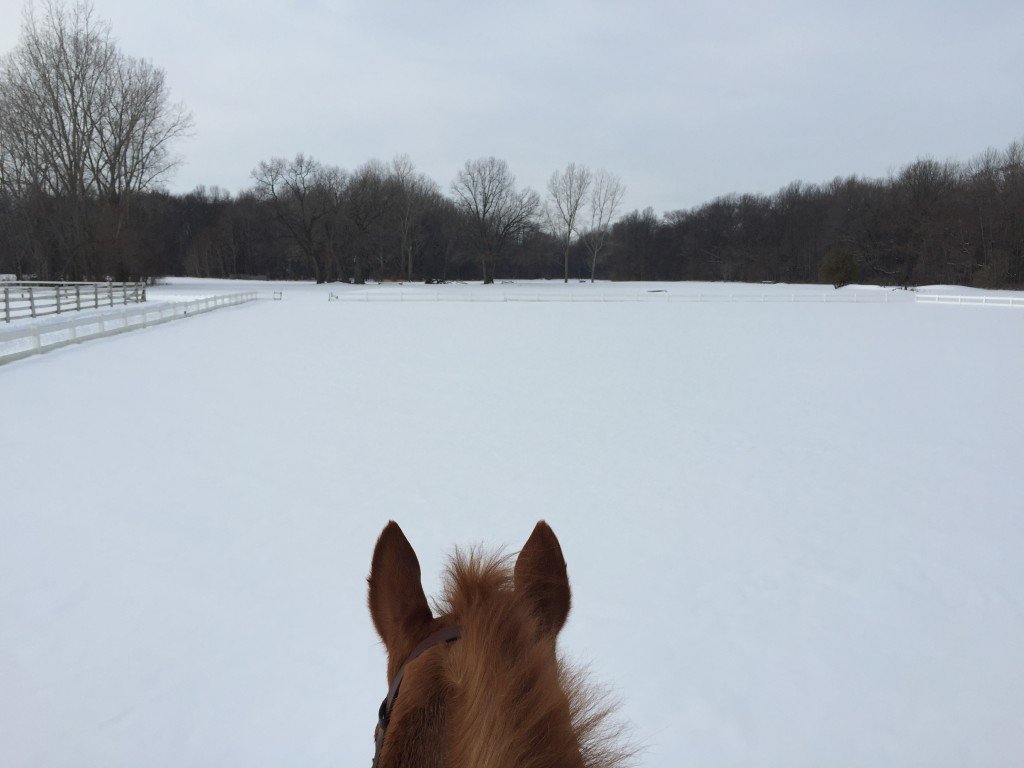 Walking through one of the outdoor rings last weekend in the snow.