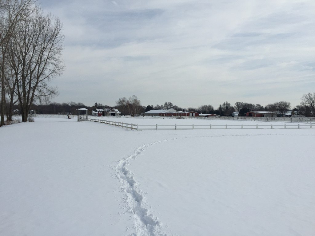 Facing back towards the barn