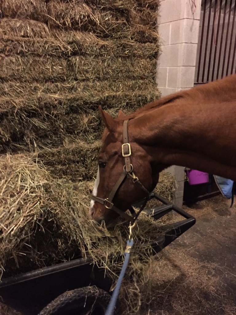 P says he will take the whole hay cart please