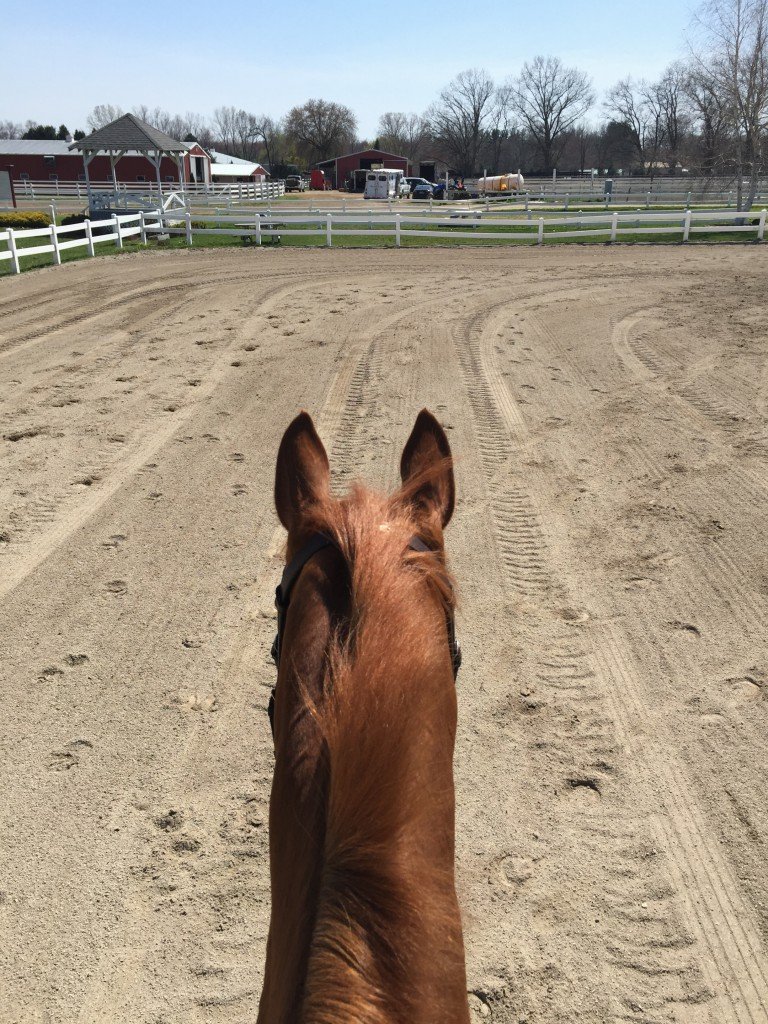 Stampede keeping an eye on the trailers coming and going for the show.