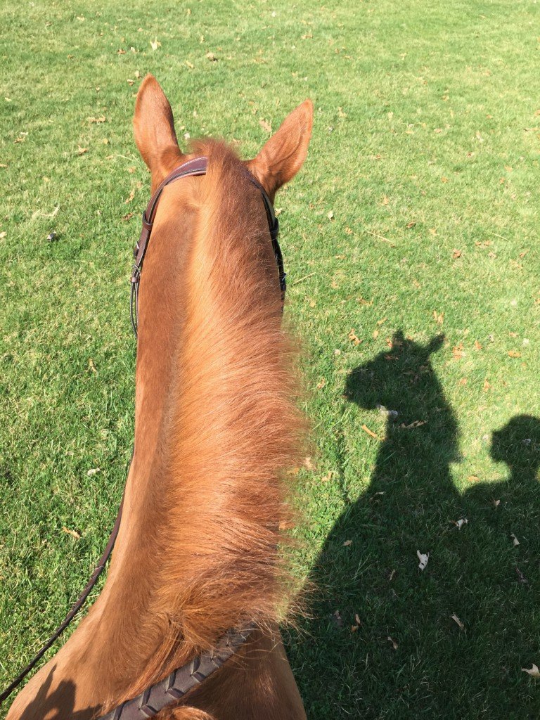 Even his shadow is cute