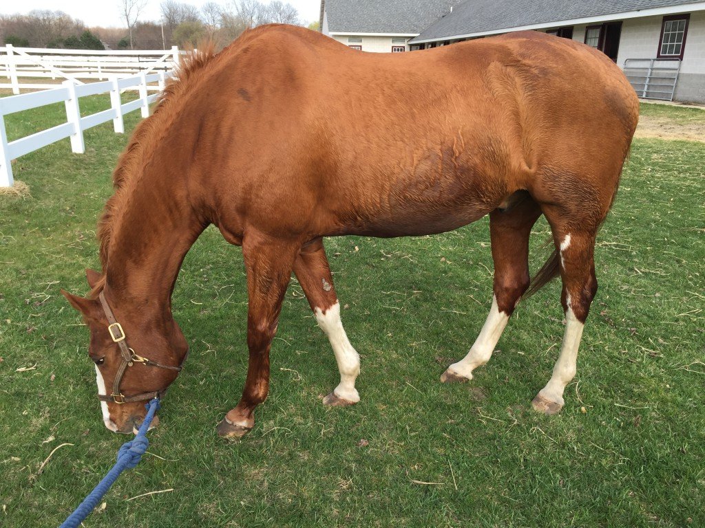 After his first bath of the year on Friday