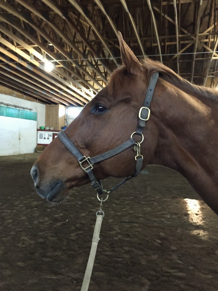 The king of post lunge gawking