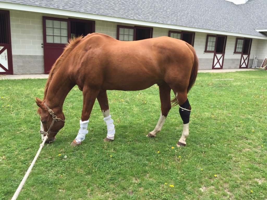 Grass is so tasty