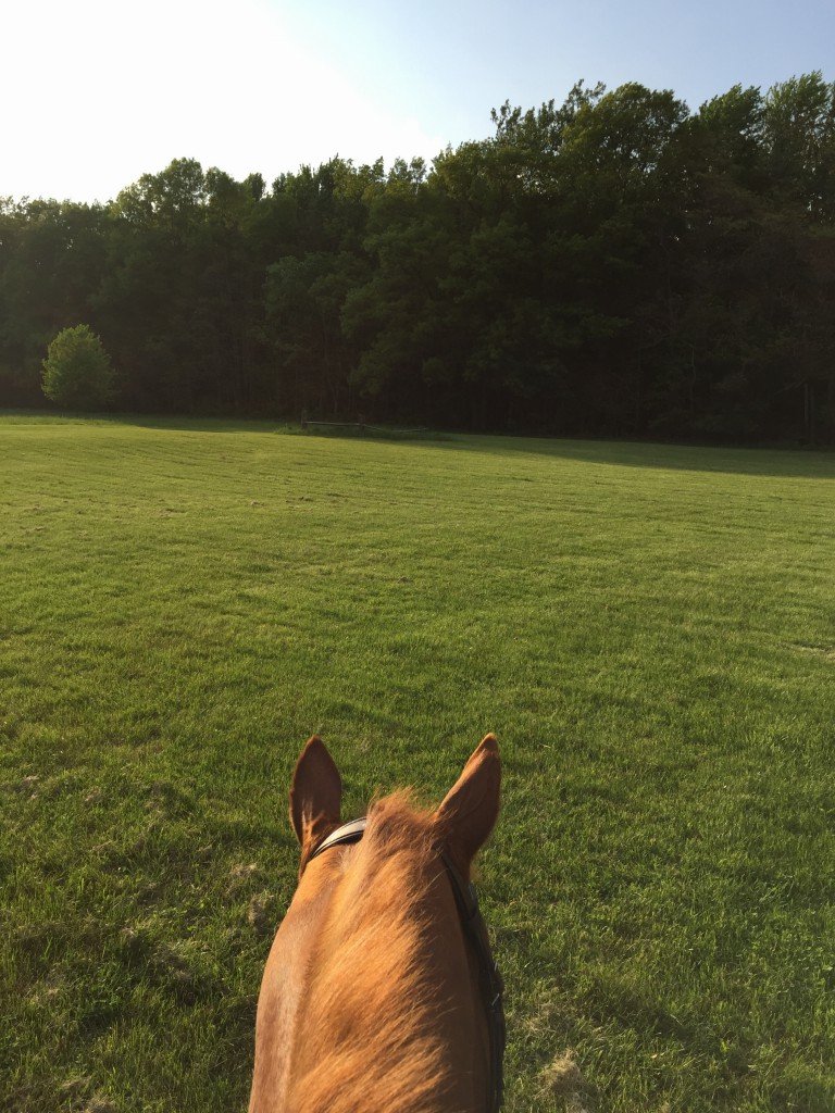 The world is so green right now