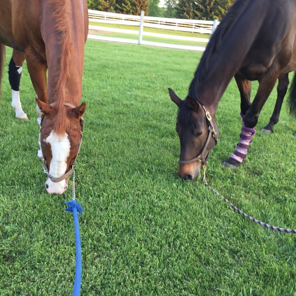 P grazing with his girlfriend Willow Thursday night