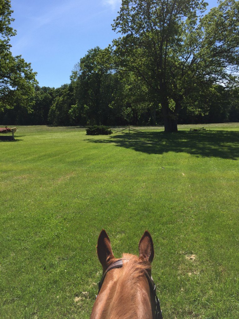 From our field ride on Wednesday