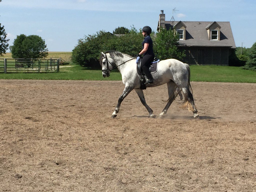 Beefcake mare! Love this shot.