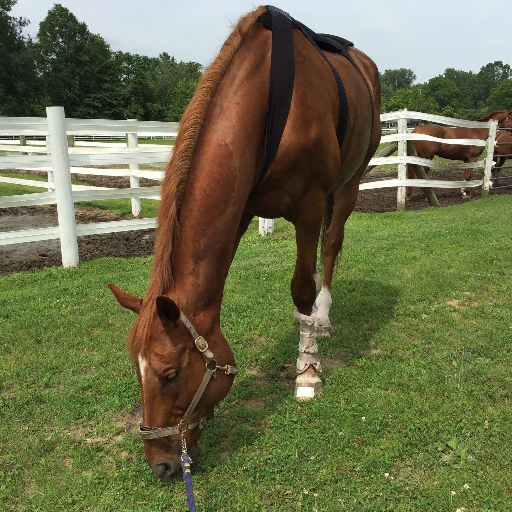 Grass makes him happy