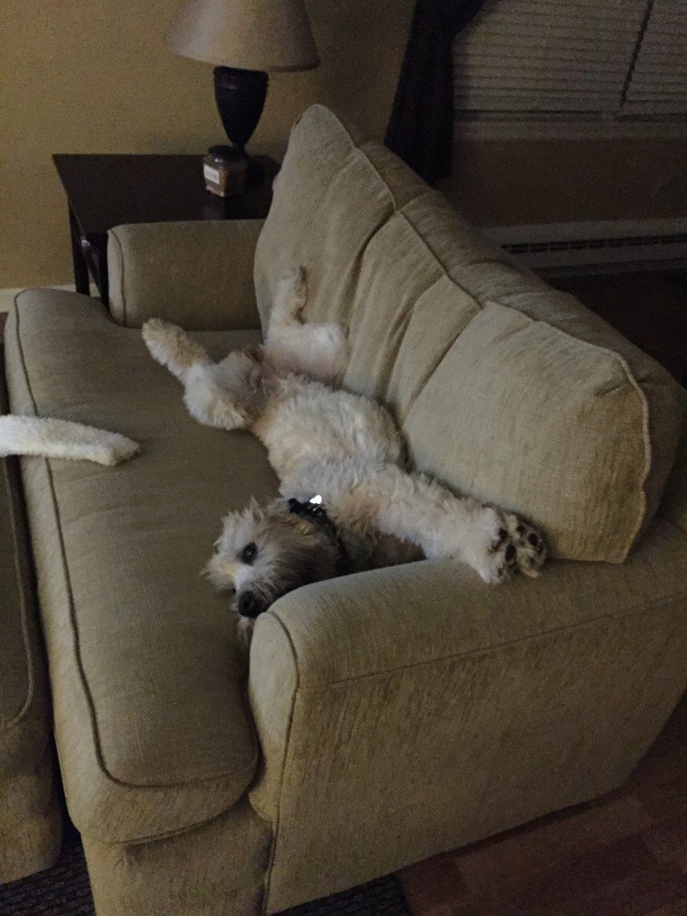 Stretching out on her favorite love seat