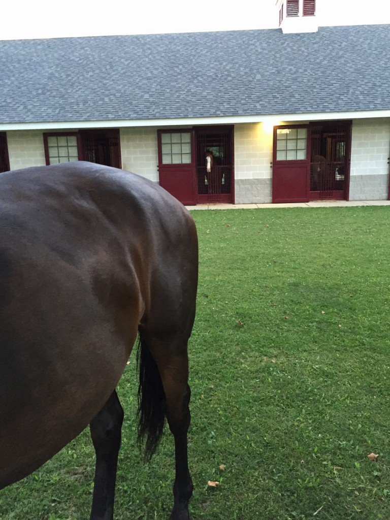 Mr. P keeping tracking of how long everyone else gets grass