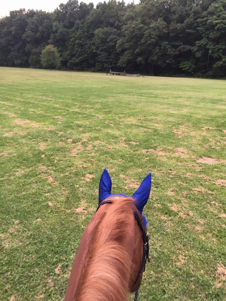 First ride in P's new shoes