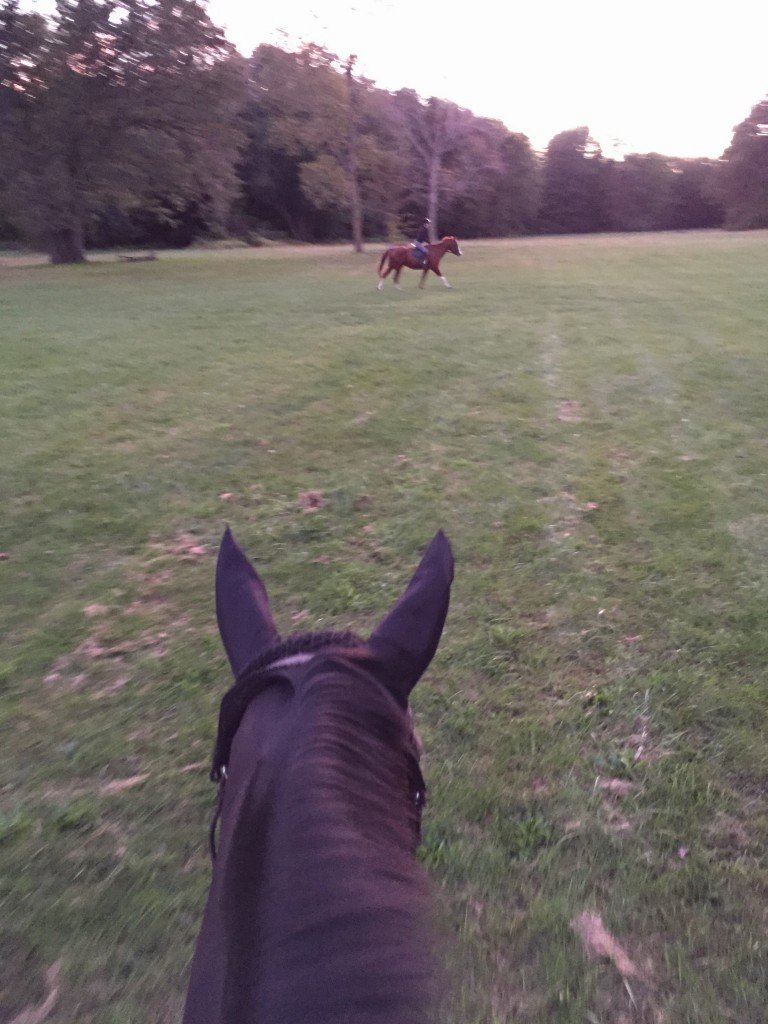 Field ride with Willow and my friend Jessica on P