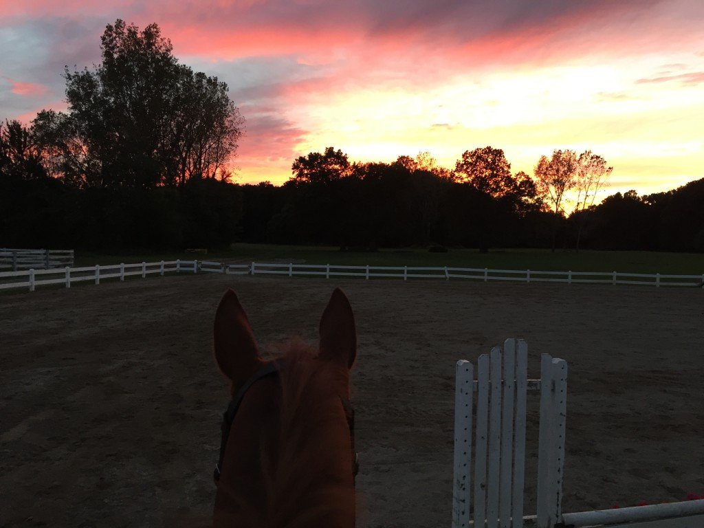 Sunset with Stampede