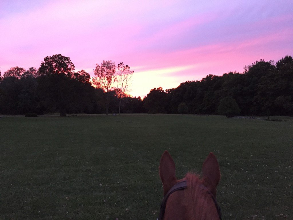 The spunkiest of ponies and a beautiful sunset