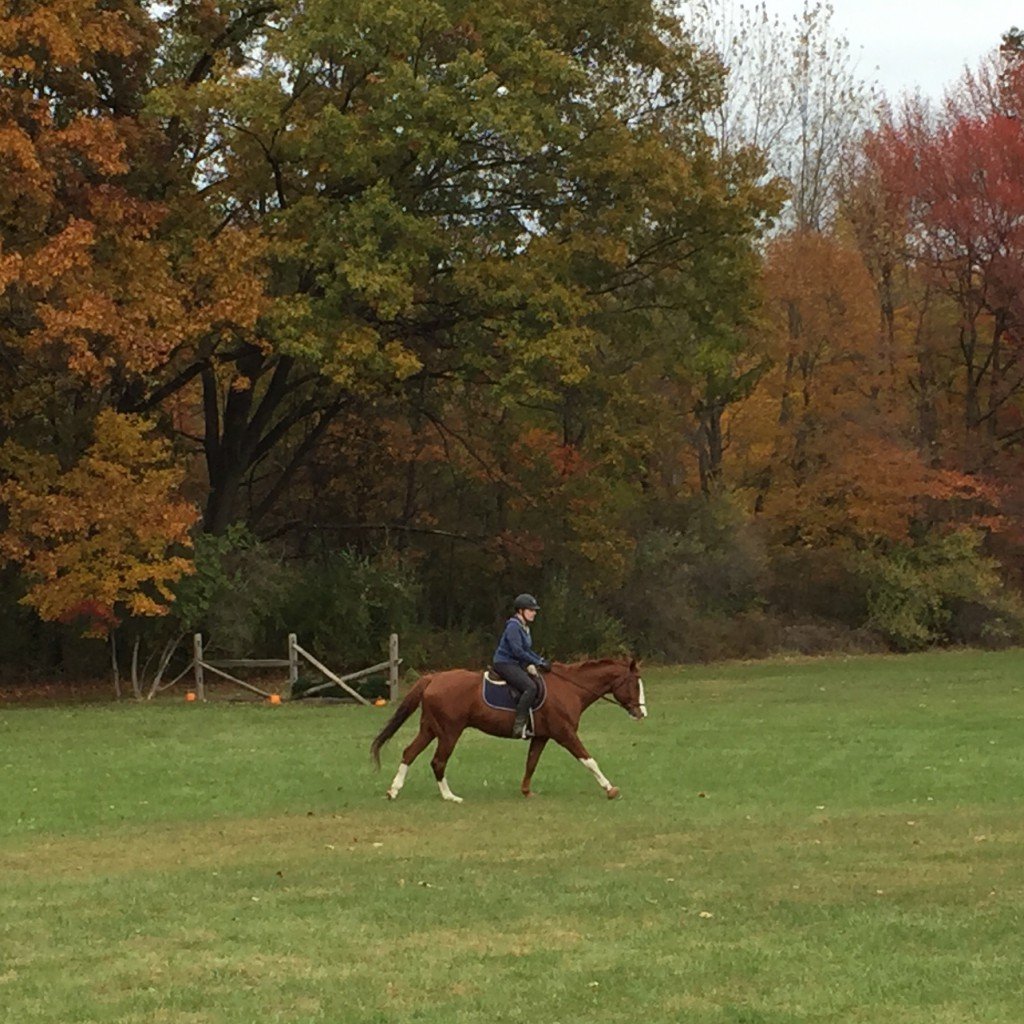 Field rides are the best rides