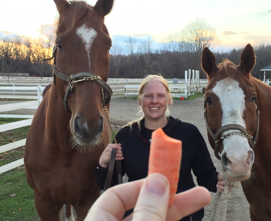 Ears forward for a carrot boys?