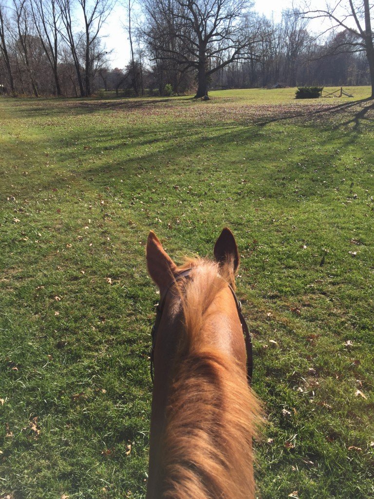 P and I have tried to take advantage of any sunny weekend day and ride outside