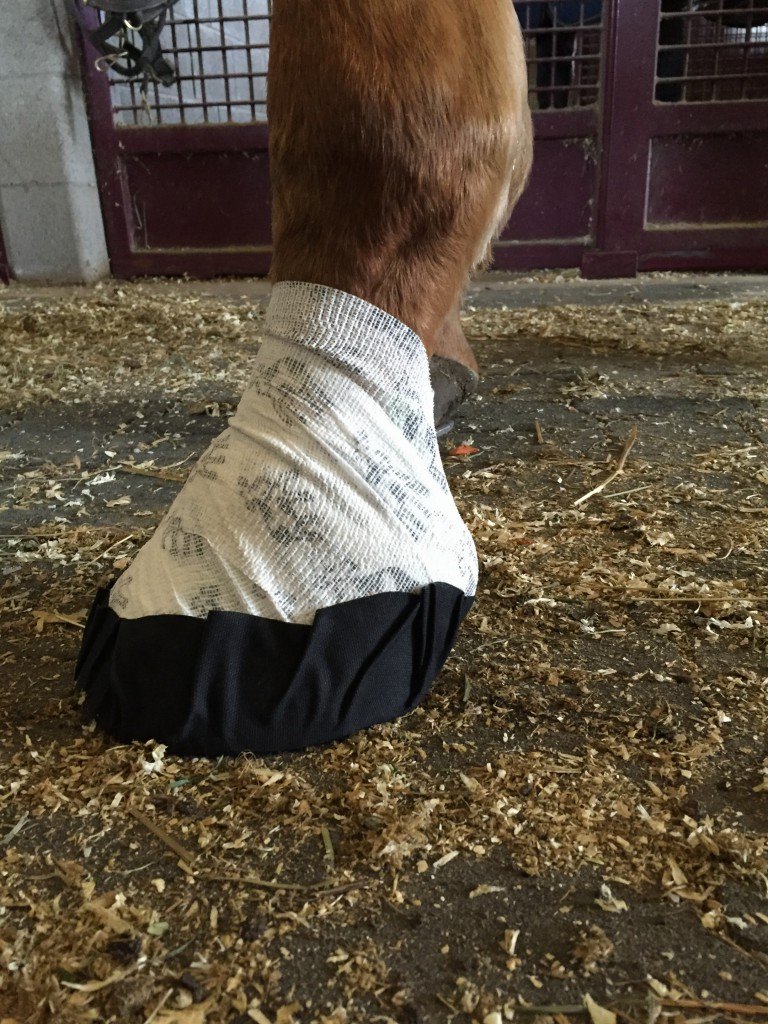 The reason I could do a good review on the Equifit Hoof Wraps