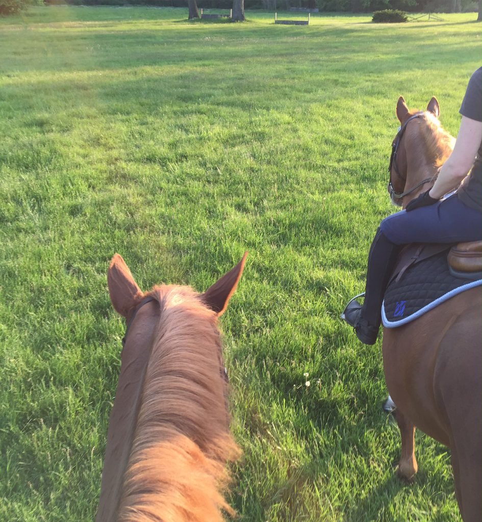 J and Mr P helping Stamp be brave on his first field outing of the year.