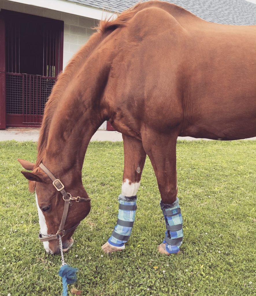 Rocking his new fly wraps