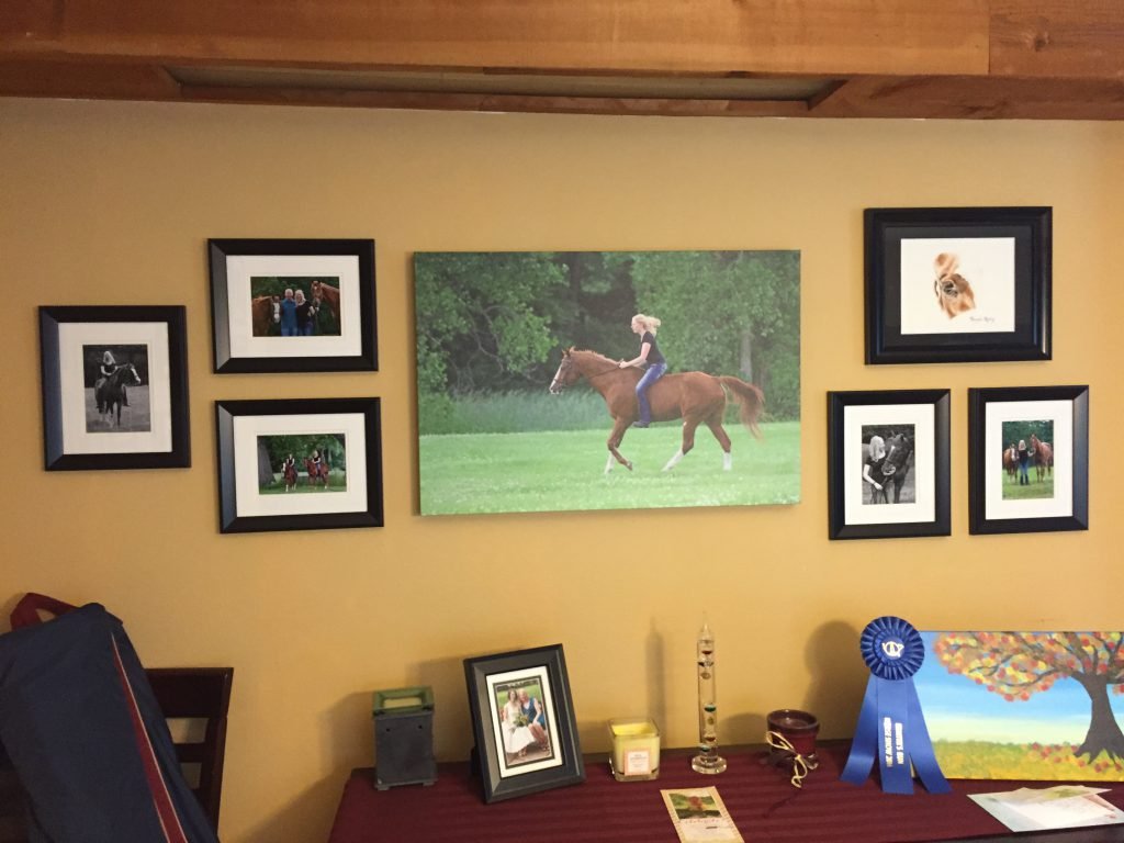 Zoomed out view of the wall of horses