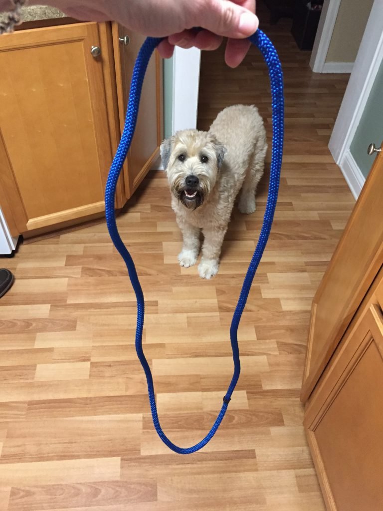 Then I opened the neck rope which I am so excited about. Juneau was excited too!